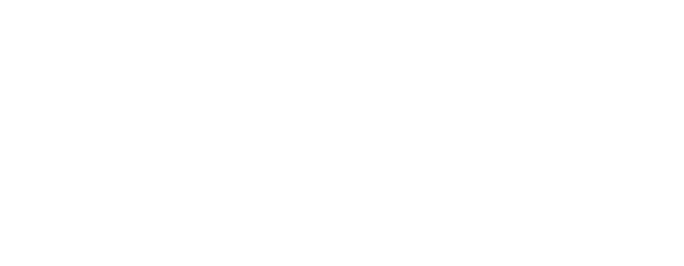 Swan Financial Planning